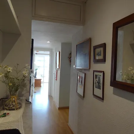 Little Frog Apart Apartment