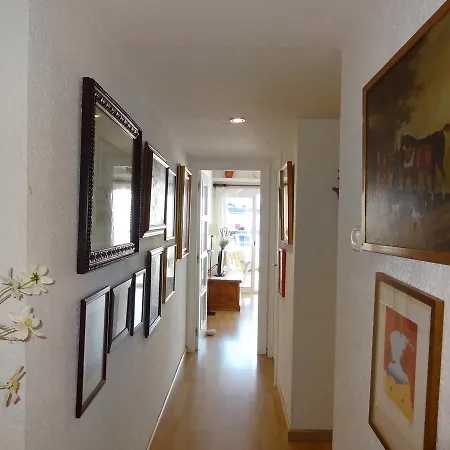 Little Frog Apart Apartment